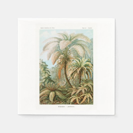 Palmboom Ernst Haeckel Servet (Voorkant)