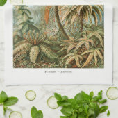 Palmboom Ernst Haeckel Theedoek (Gevouwen)