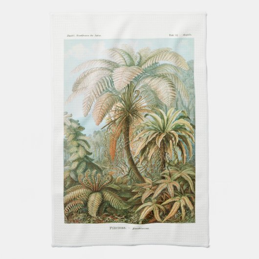 Palmboom Ernst Haeckel Theedoek (Verticaal)