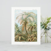 Palmboom Ernst Haeckel tissue papier (Staand voorkant)