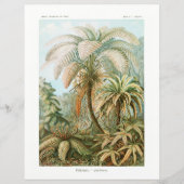 Palmboom Ernst Haeckel tissue papier (Voorkant)