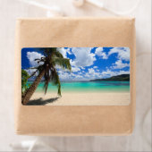 Palmboom Etiket (Insitu)