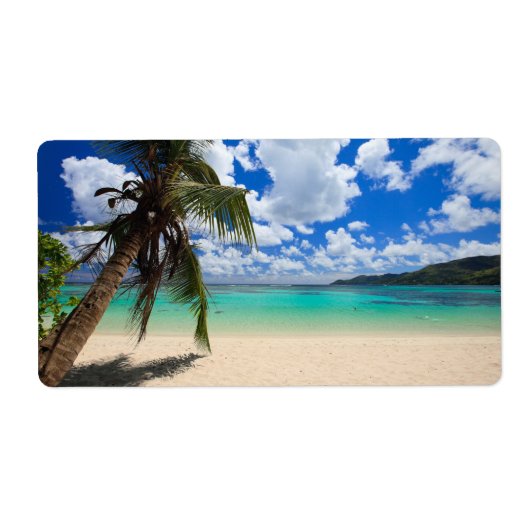 Palmboom Etiket (Voorkant)