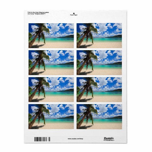 Palmboom Etiket (Full Sheet)