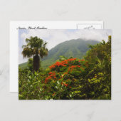 Palmboom, flamboyante boom, Caribische vulkaanpiek Briefkaart (Voorkant / Achterkant)