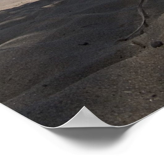 Palmboom, foto van Joe Dantone Poster (Hoek)