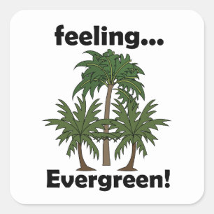 Palmboom Gevoel Groene Tropische Grappig Vierkante Sticker