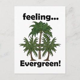 Palmboom Gevoel Groene Tropische Verjaardag Briefkaart