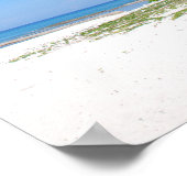 Palmboom, Grand Cayman, Canvasafdruk Poster (Hoek)