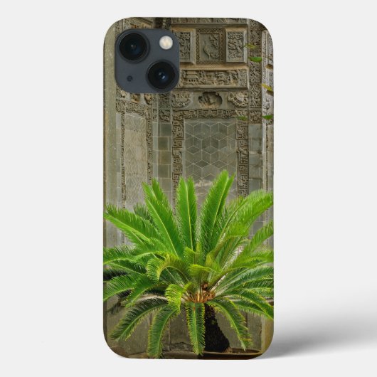 Palmboom | Hongcun, China Case-Mate iPhone Case (Achterkant)