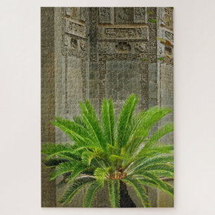 Palmboom   Hongcun, China Legpuzzel