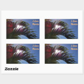 Palmboom Ik hou van Florida Stickers (Vel)