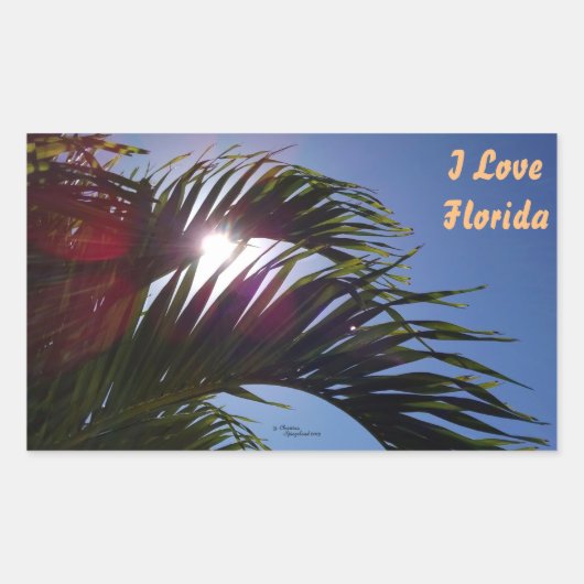 Palmboom Ik hou van Florida Stickers (Voorkant)