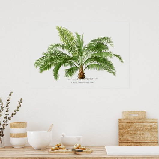  palmboom, illustratie poster (Keuken)