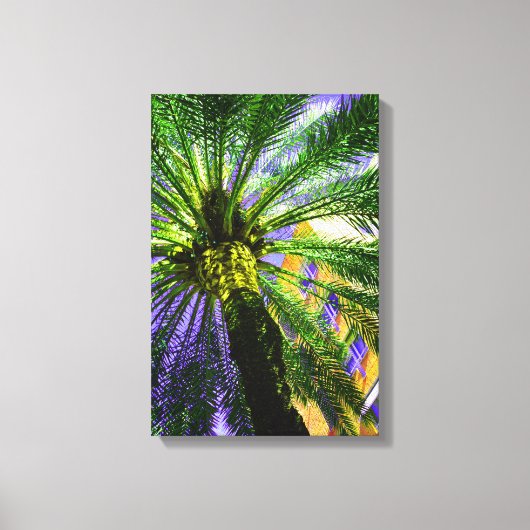 Palmboom in de avond canvas afdruk (Voorkant)
