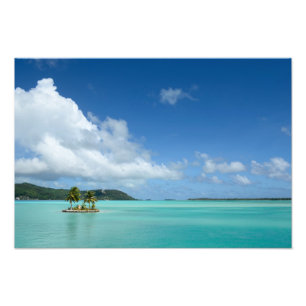 Palmboom in de lagune van Bora Bora, foto-afdruk Foto Afdruk