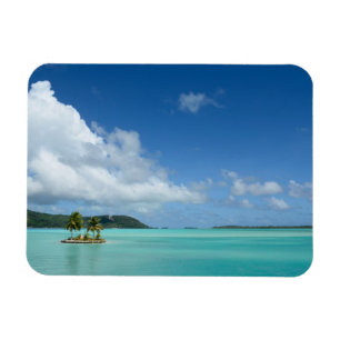 Palmboom in de lagune van Bora Bora, rechthoekige  Magneet