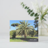 Palmboom in Rome, Italië Briefkaart (Staand voorkant)