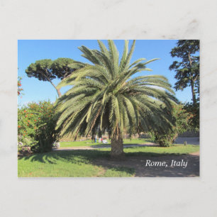 Palmboom in Rome, Italië Briefkaart