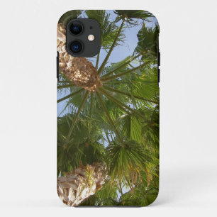 Palmboom iPhone5-Hoesje iPhone 11 Hoesje