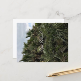 Palmboom - Jeju - Jeju-eiland - Zuid-Korea Feestdagenkaart