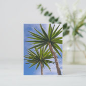 Palmboom Kaart (Staand voorkant)
