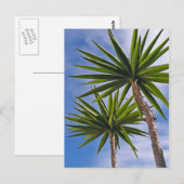 Palmboom Kaart (Voorkant / Achterkant)