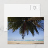 Palmboom langs het Caribische Zee. Briefkaart (Voorkant / Achterkant)