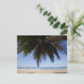 Palmboom langs het Caribische Zee. Briefkaart (Staand voorkant)
