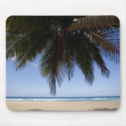 Palmboom langs het Caribische Zee. Muismat (Voorkant)