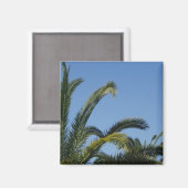 Palmboom Magnet (Voorkant / Achterkant)