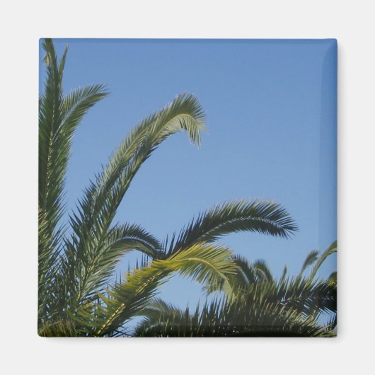 Palmboom Magnet (Voorkant)