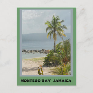 Palmboom, Montego Bay Jamaica juni 2011 Briefkaart