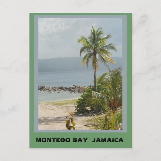 Palmboom, Montego Bay Jamaica juni 2011 Briefkaart (Voorkant)