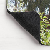 Palmboom Muismat (Hoek)