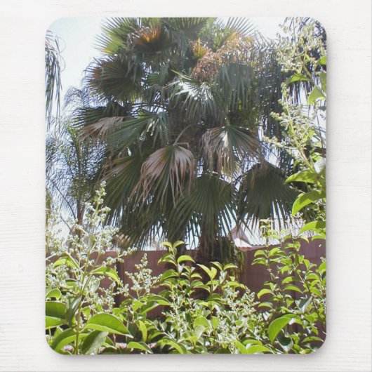 Palmboom Muismat (Voorkant)