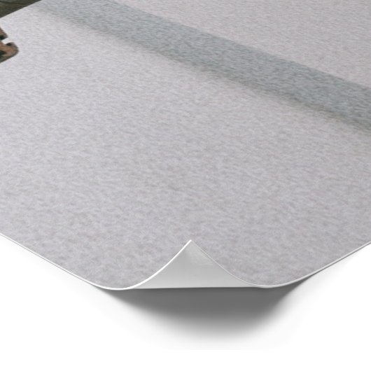 Palmboom nabij wit betongebouw poster (Hoek)