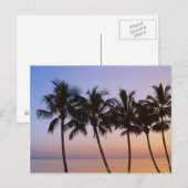 Palmboom, ochtend briefkaart (Voorkant / Achterkant)