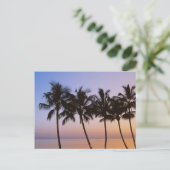 Palmboom, ochtend briefkaart (Staand voorkant)