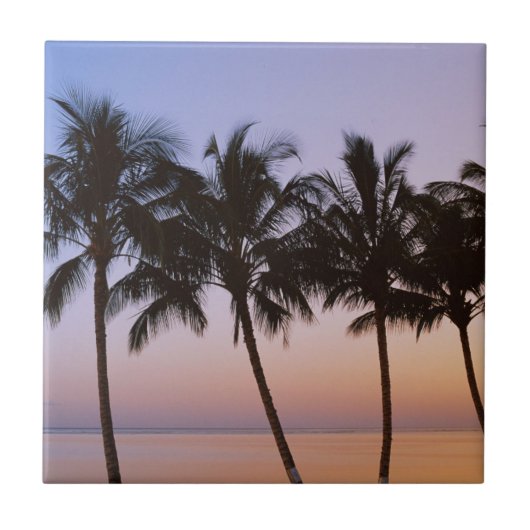 Palmboom, ochtend tegeltje (Voorkant)