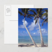 Palmboom omzoomd strand Cook Eilanden Briefkaart (Voorkant / Achterkant)