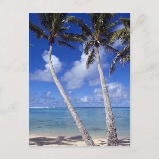 Palmboom omzoomd strand Cook Eilanden Briefkaart (Voorkant)