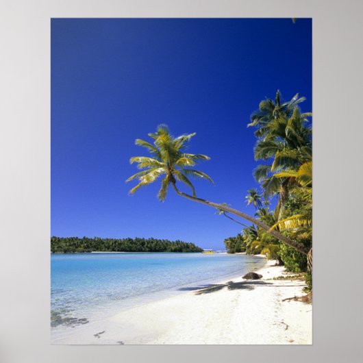 Palmboom omzoomd strand Cook Eilanden Poster (Voorkant)
