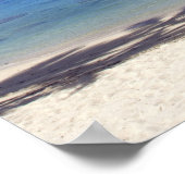 Palmboom omzoomd strand Cook Eilanden Poster (Hoek)