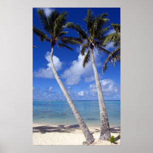Palmboom omzoomd strand Cook Eilanden Poster