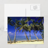 Palmboom omzoomd strand Cook Islands 4 Briefkaart (Voorkant / Achterkant)