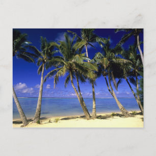 Palmboom omzoomd strand Cook Islands 4 Briefkaart