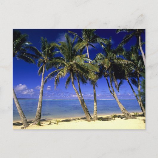 Palmboom omzoomd strand Cook Islands 4 Briefkaart (Voorkant)