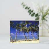 Palmboom omzoomd strand Cook Islands 4 Briefkaart (Staand voorkant)