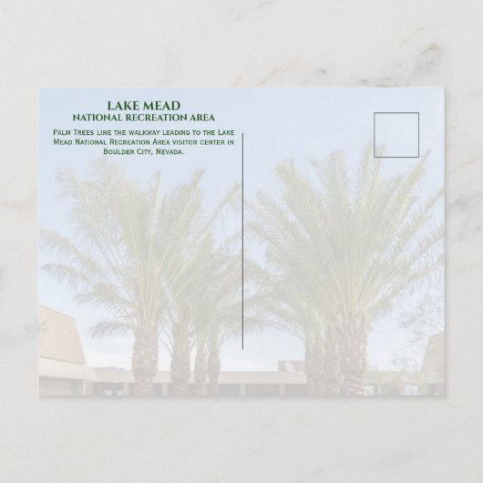 Palmboom-omzoomde wandeling Bezoekerscentrum Lake  Briefkaart (Achterkant)